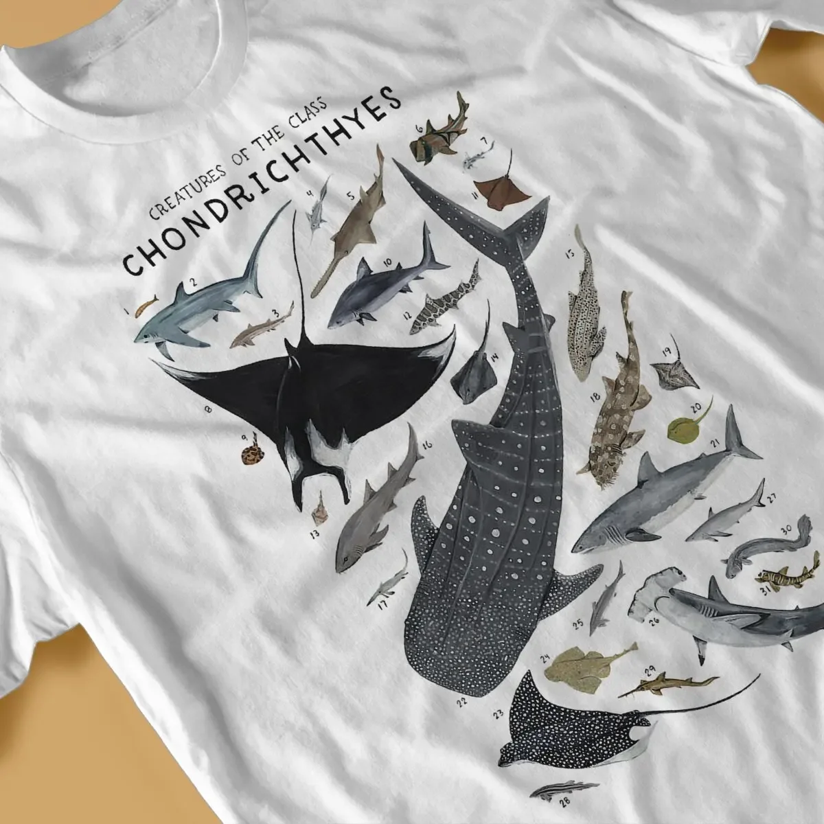 Летние футболки унисекс винтажные с морскими животными существа класса Chondrichthyes