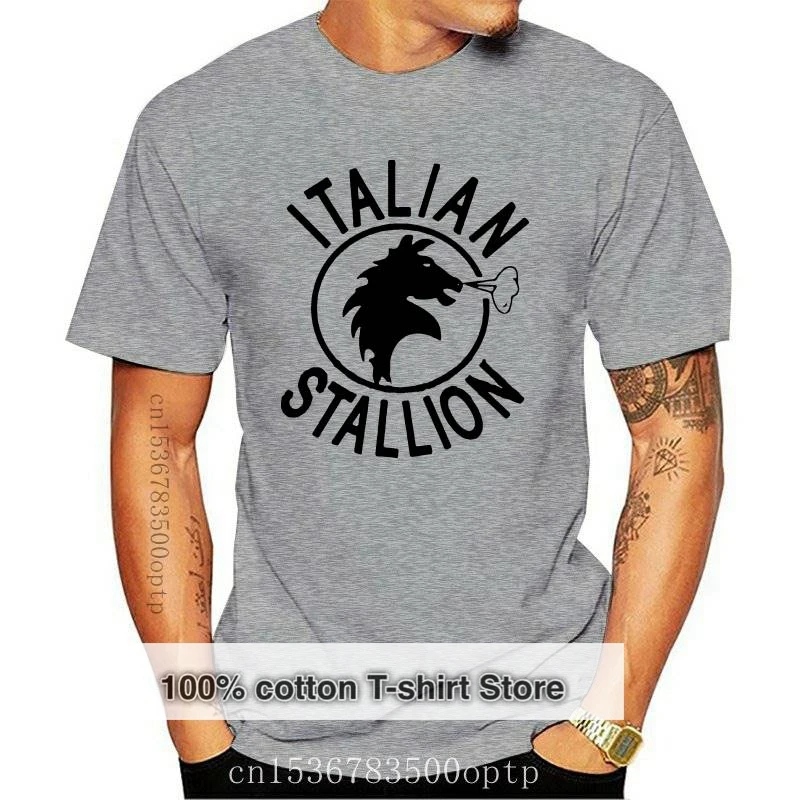 

New ROCKYITALIAN STALLIONFILMFUN T SHIRT(1)