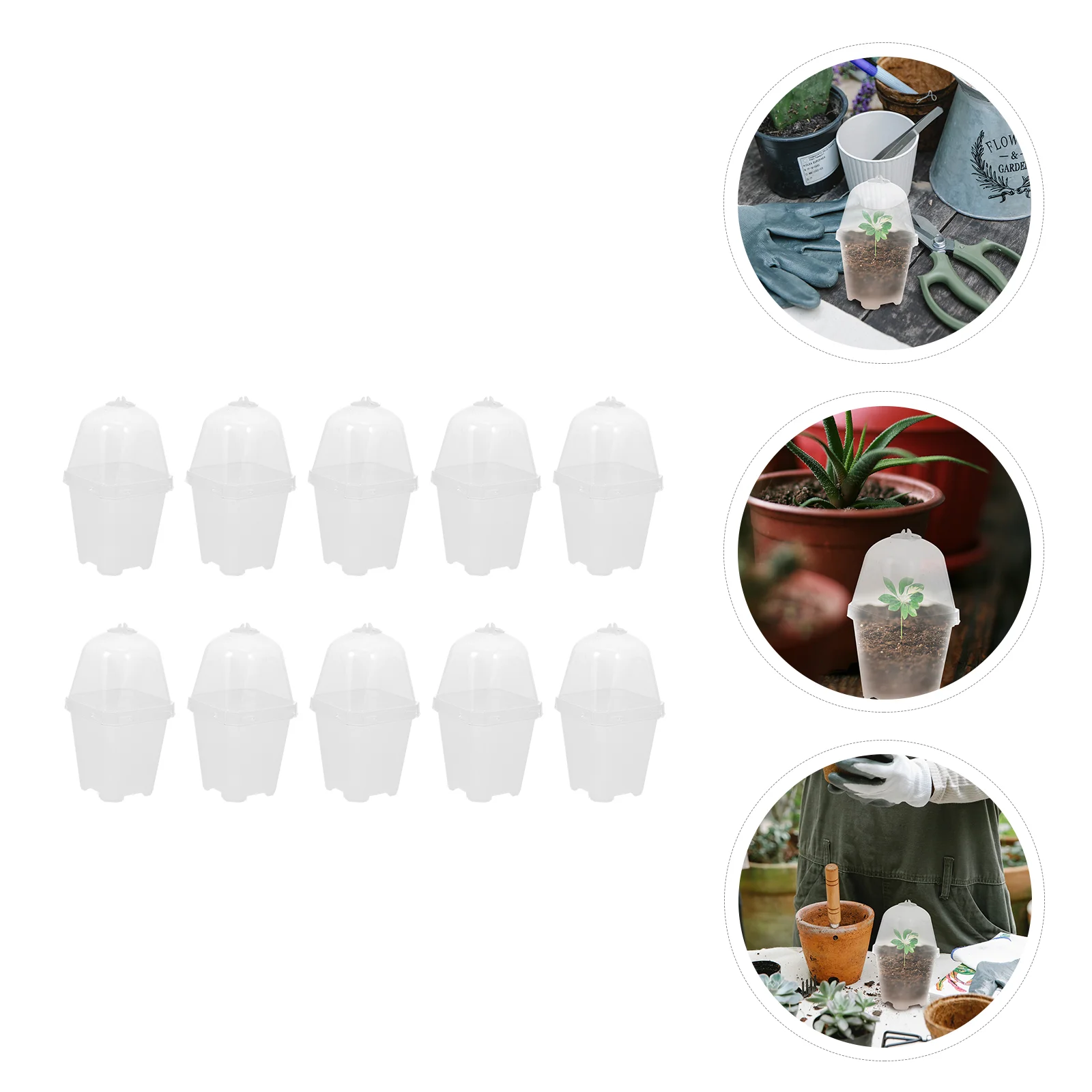 

10 Sets Flex Tools Pot Outdoor Pots Mini Propagator Indoor Planters Planting Care Box Basin Small Square Pot