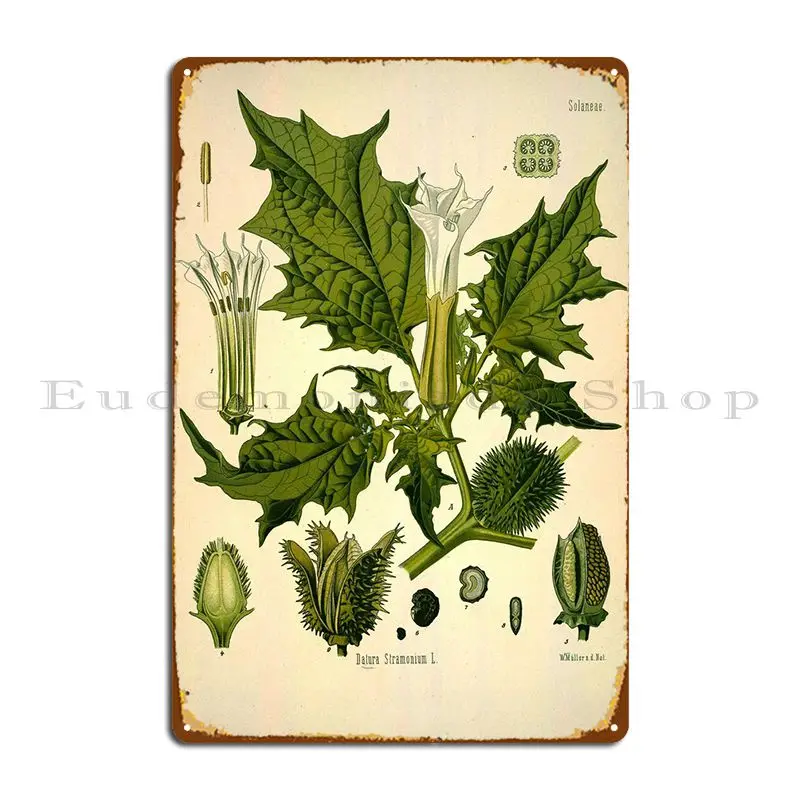 

Solaneae Metal Plaque Rusty Club Club Bar Designing Club Tin Sign Poster