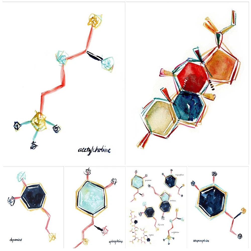 

Acetylcholine Corticosterone Hormone Chemical Poster Wall Art Canvas Painting Home Decor Wall Pictures For Living Room Unframed