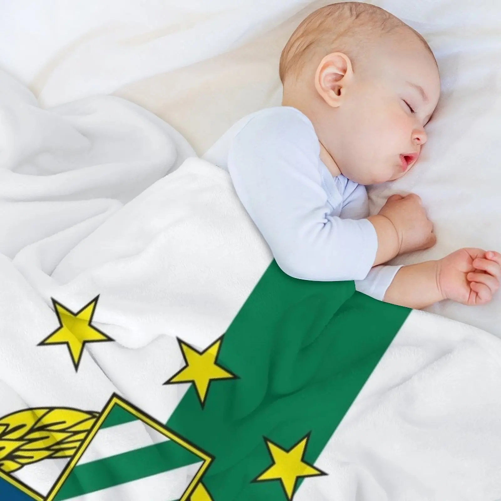 Вентиляторы футбола Rapid Wien, ультраса хулиганы, Австрия, большое одеяло, очень большое одеяло для декоративного дивана, теплые зимние одеяла (art.: 3920c9a08bce7) - 3920c9a08bce7