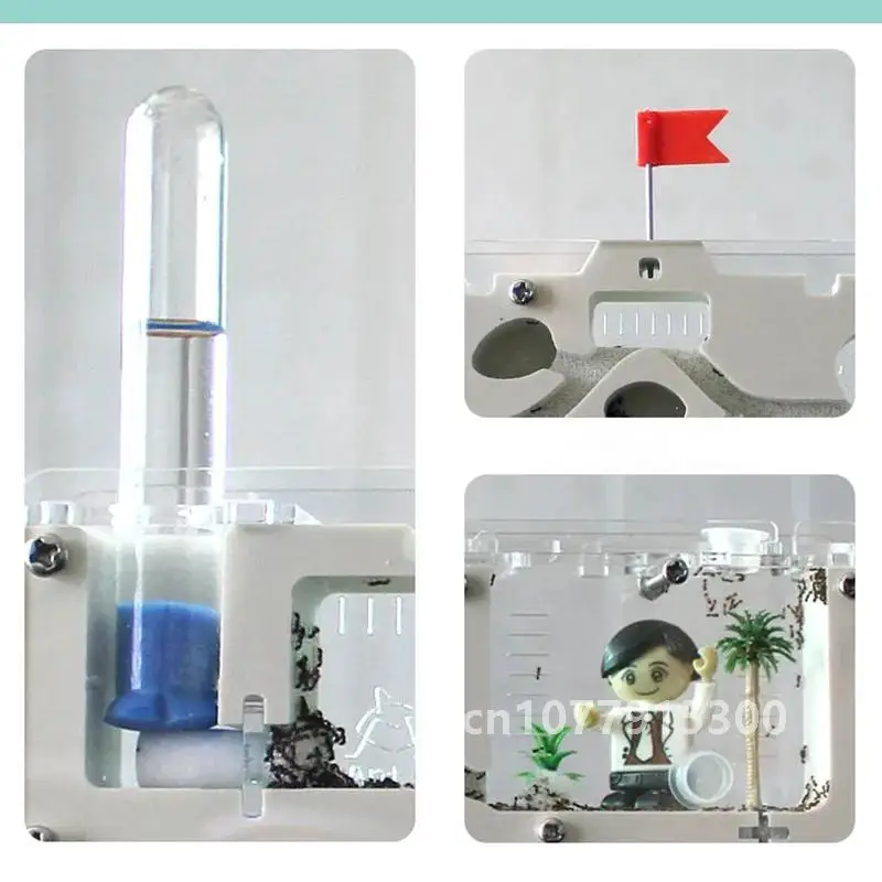 Замок муравья 2021 M экологическая коробка для насекомых мастерская муравьев племя