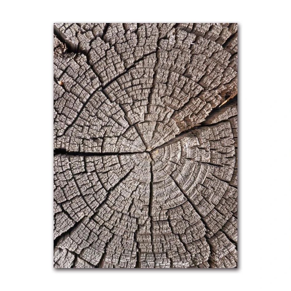 

Абстрактные деревянные кольца на дереве, постеры, кольца под дерево, кольцо на дереве, радиальные линии, фермерский дом, холст, живопись, фотографии, домашний декор