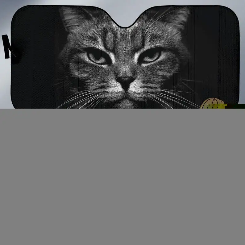 

Cat Eyes Car Sun Shades 1 Amazing Best Gift Ideas 2022 Car Windshield Sunshade Sunshade Window Sunscreen Insulation Cloth