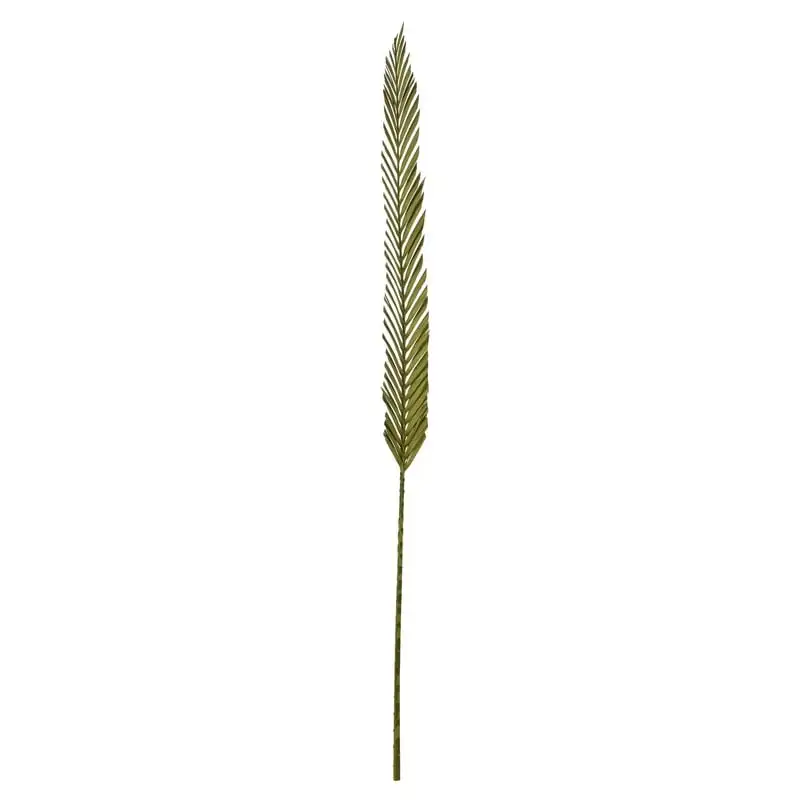 

Basil Coco Palm - Designer Cut, 6 stems, Dried