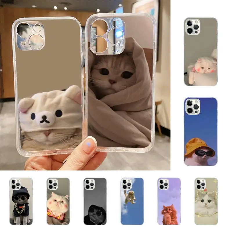 

Cut Funny Cat Phone Case For Iphone 7 8 Plus X Xr Xs 11 12 13 Se2020 Mini Mobile Iphones 14 Pro Max Case