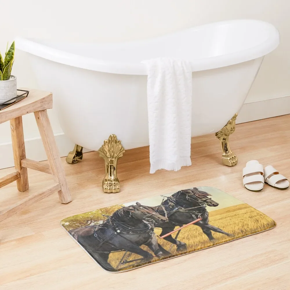 Дни прошли через коврик для ванной комнаты коврики