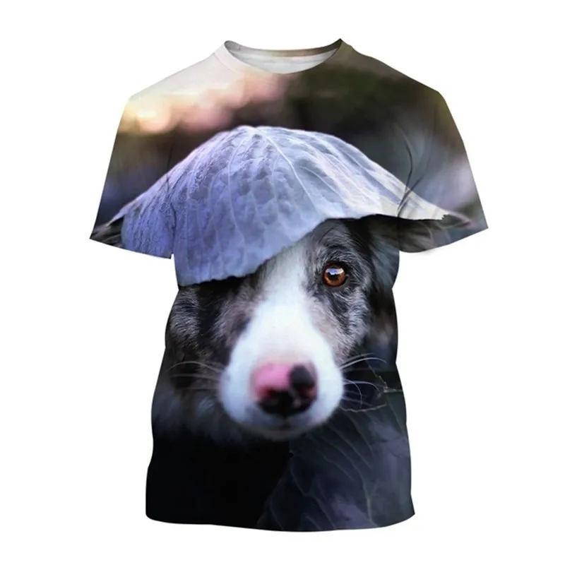 

Cute Dog Casual T Shirt Border Collie Sheepdog Printed Summer Fashion Unisex Round Neck Short Sleeve For Boys Quick-drying