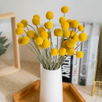 10pcs dried preserved plant ball natural eternell craspedia globosa bouquets forever gold orbs flower home decor dekoration