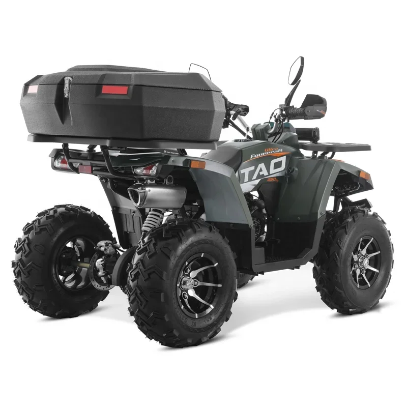 Tao Motor 2024 новая сторона по бокам квадроцикл 4x4 250 куб.см с сертификатом CE EPA ECE