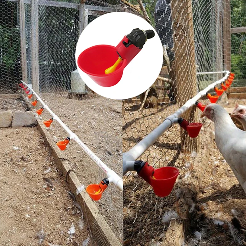 Automatic Plastic Pet Bird Drinker Feeder Water Bottle Cup For Chicken Pigeon Parrot Nozzle Family Garden Farm Poultry Feeder