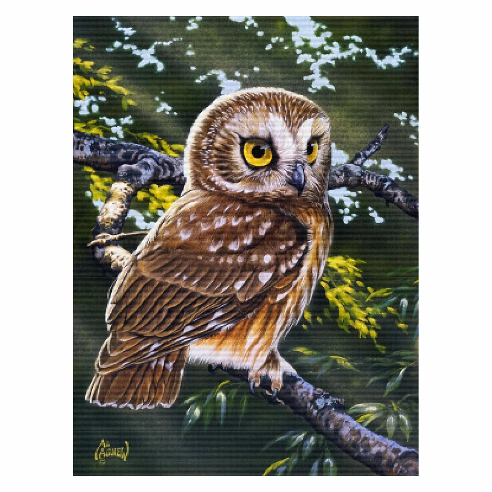 

DIY 5D diamond painting owl cross stitch set full diamond embroidery mosaic animal decorative painting gift