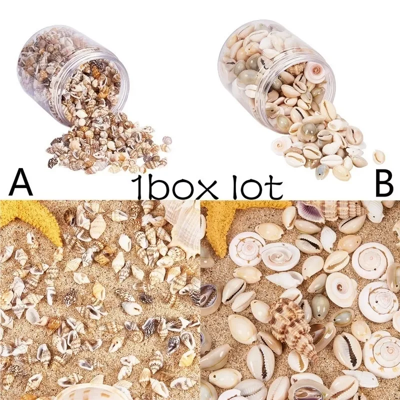 

NEW2023 1 Box Natural Shell Conch Ornaments Accessories Parts Diy Material Jewelry Components Seashells Beach Wedding Decoratio