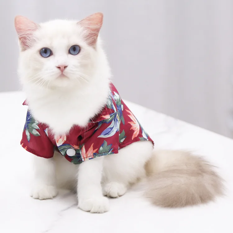

Одежда для кошек, домашних животных, милая летняя одежда, платья для кошек, собак, маскарадная одежда, товары для котят, товары для дома и сад...
