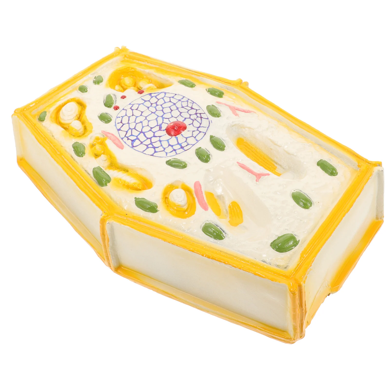 Модель растительной клетки школьные принадлежности учебные пособия по биологии