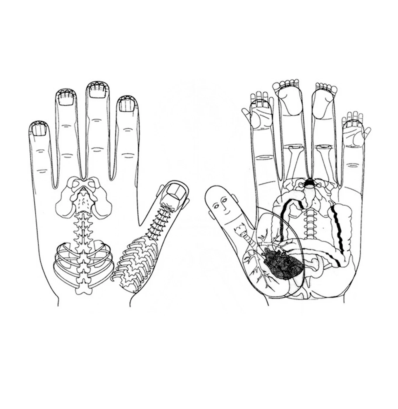 СУ ДЖОК - СКОРАЯ ПОМОЩЬ В ЛЮБЫХ СИТУАЦИЯХ. : sleeping_sonya - ЖЖ