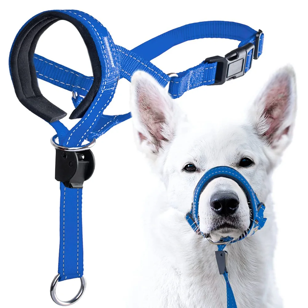 

Outdoor Pet Barking Mouth Accessories Buckled New Adjustable Cover Dog Dog Training Protection Supplies Biting Mask Puppy Anti
