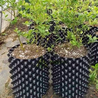 100pcs degradable non woven nursery bags seedling raising pots gardening supplies