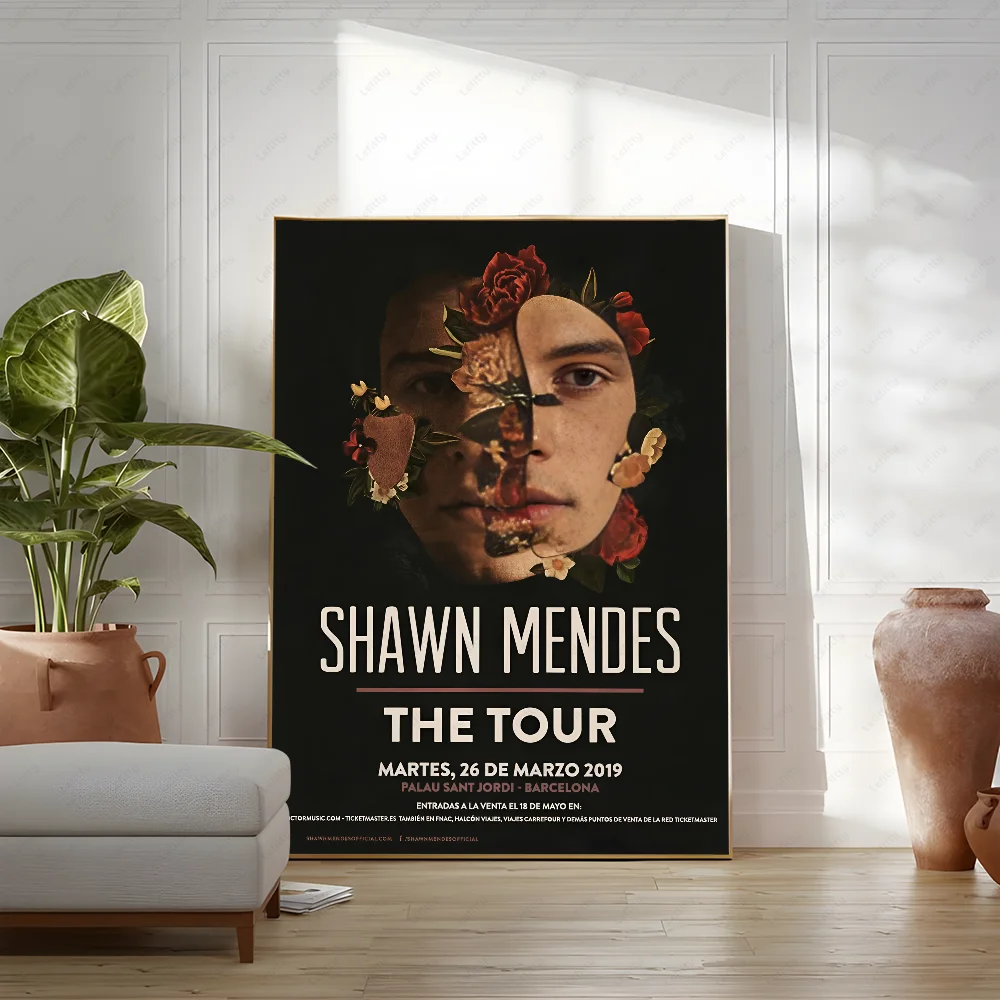 S-ShAwNS M-MeNdes обложка альбома плакат липкая настенная художественная печать