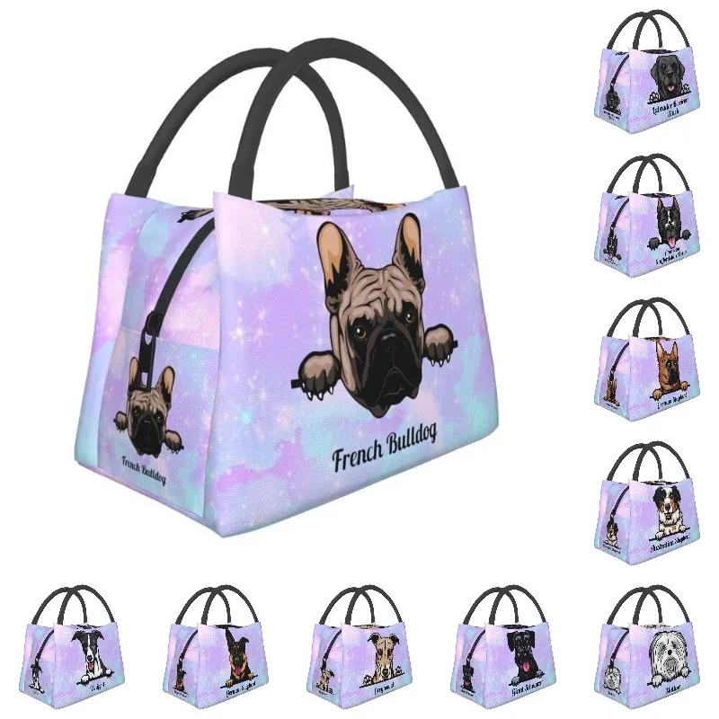 

Hand-held insulated refrigerated lunch bag is portable, stylish and simple, suitable for picnics