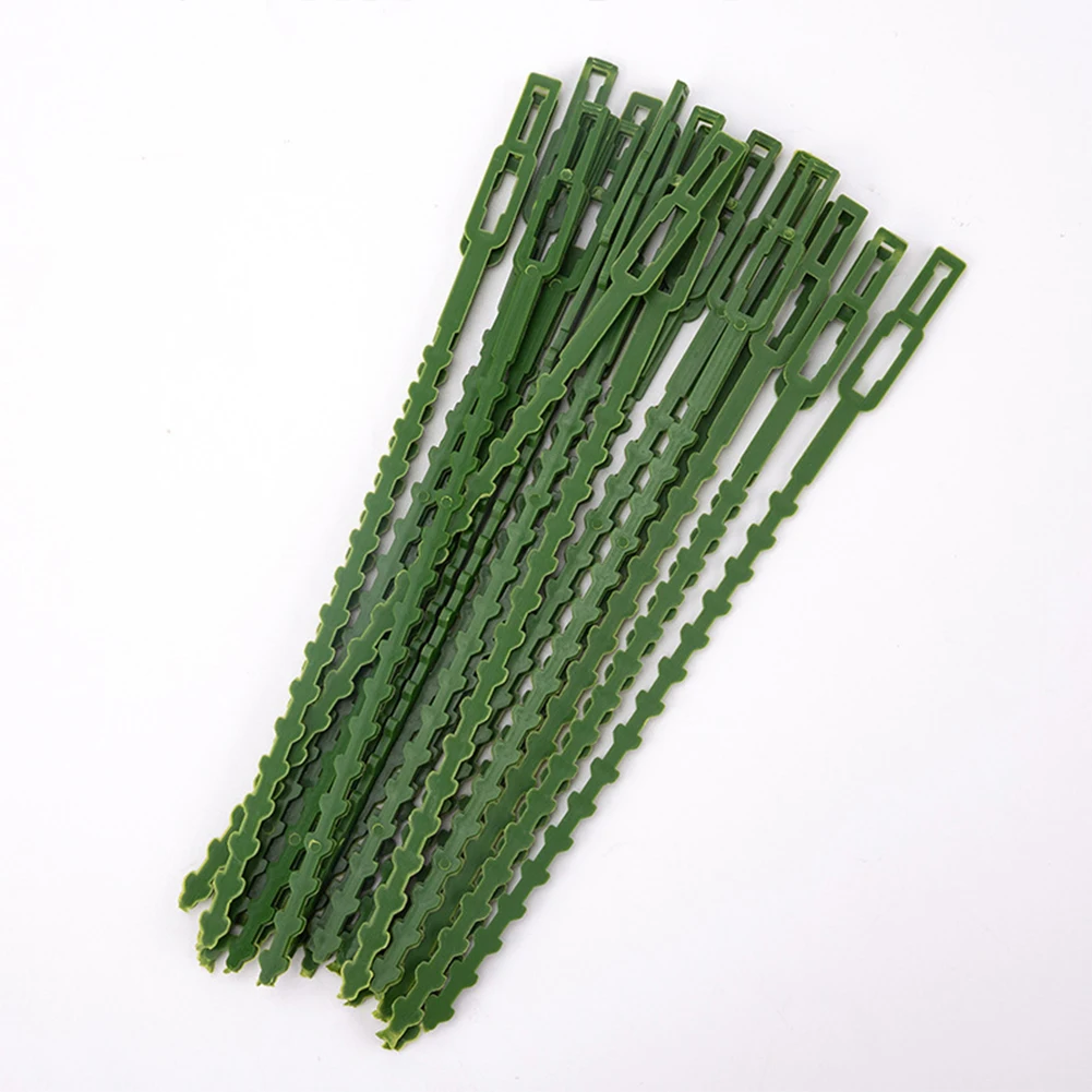 50pcs Green Gardening Vine Climbing Plants Cable Tie Lines Plant Parts Flower Cucumber Grape Rattan Supports Plant Support