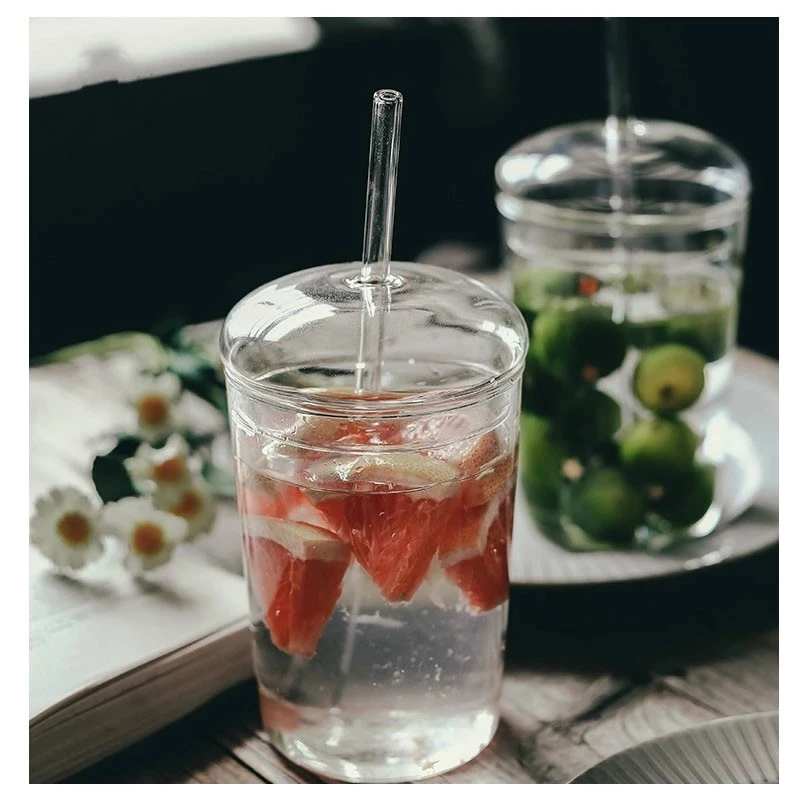 

Nordic Transparent Glass Cup for Coffee with Glass Cover and Straw Mug Bubble Tea Cup Galsses Cups Iced Coffee Milk Drink 450ML