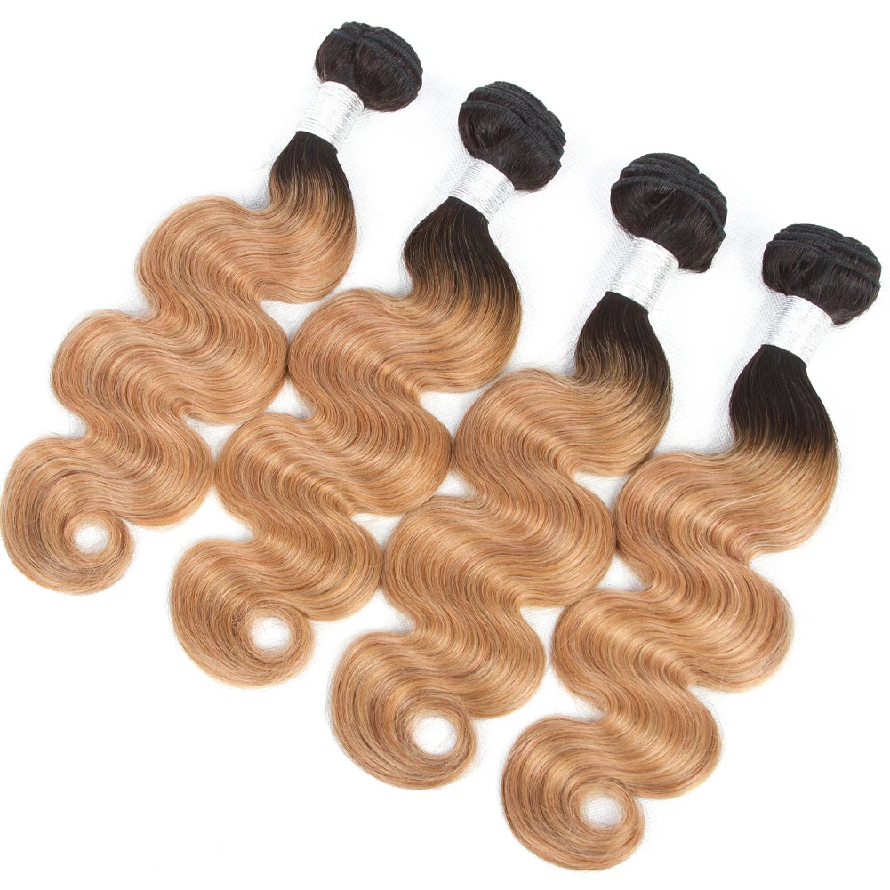 Ed Virgin Human Hair Weave Colored Bundles