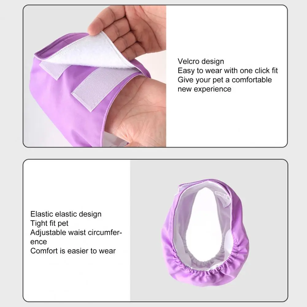 

Useful Fade-Resistant Pet Panties Highly Absorbent Female Pet Menstrual Sanitary Diaper Underwear Anti-harassment