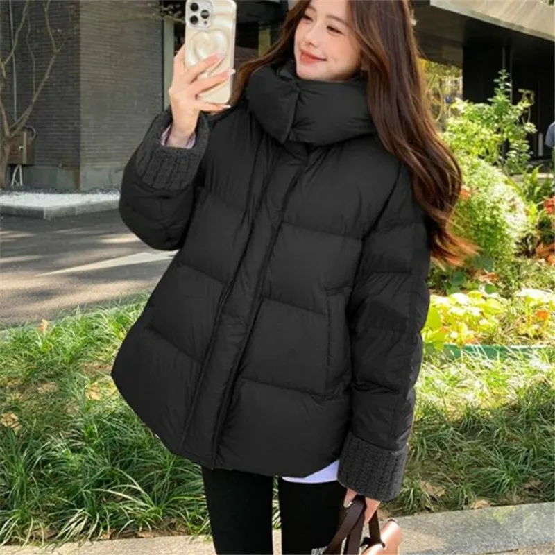 Новинка 2024 зимняя теплая куртка на хлопковой подкладке женская корейская