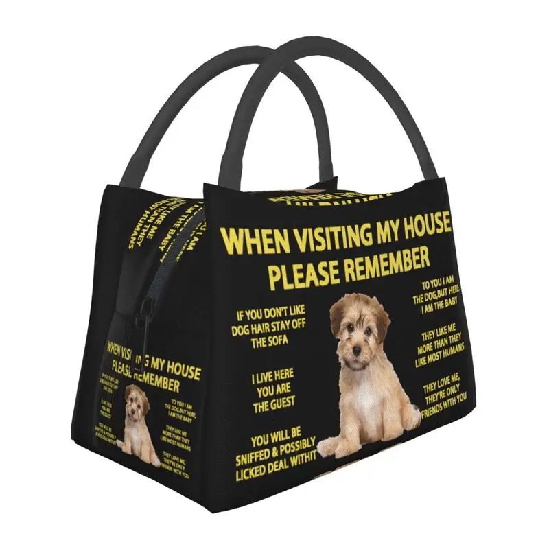 

Havanese Portable Lunch Box Women Multifunction Bichon Dog Thermal Cooler Food Insulated Lunch Bag Travel Work Pinic Container