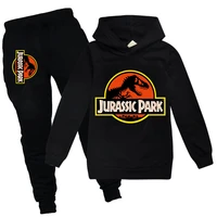 kids jurassic park hoodies world dinosaur print sweatshirts childrens clothing kawaii graphic autumn spring childrens sets
