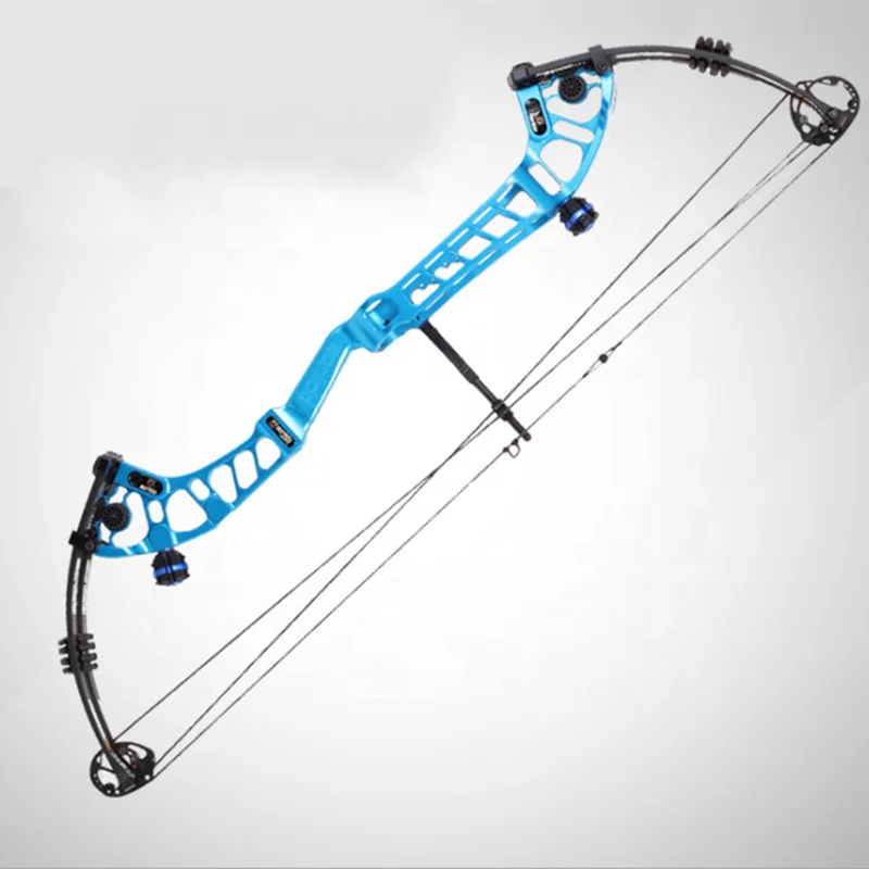 

Compound Bow and Arrow Archery 40-60lbs Professional Shooting Competition Composite Pulley Adjustable Hunting Equipment