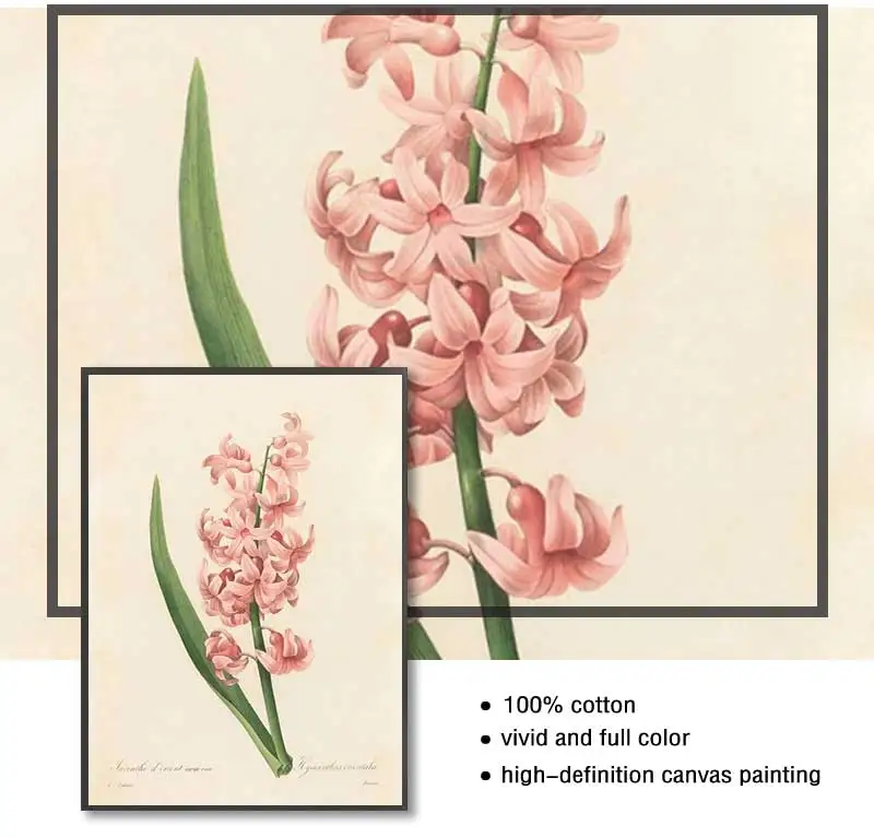 Винтажные постеры и принты садовых пионов роз лилий дикие цветы Картина на
