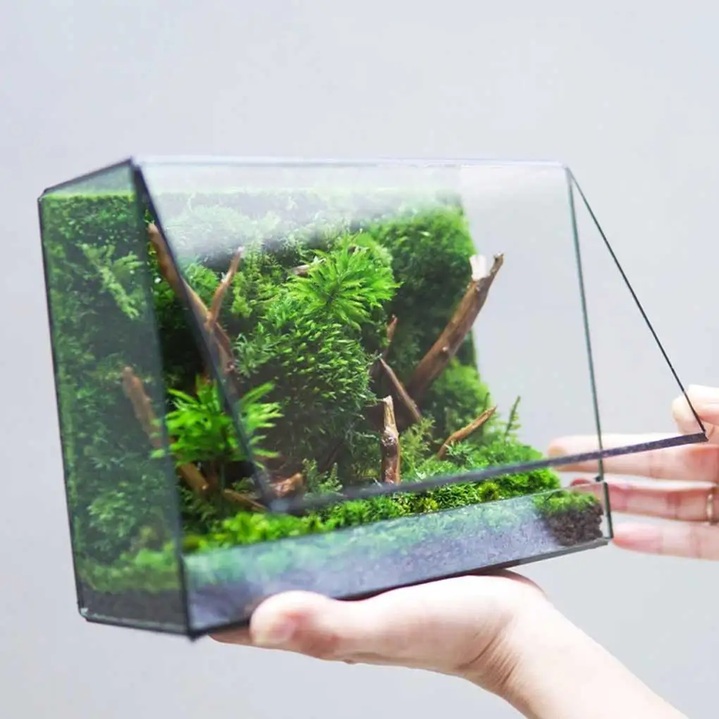 

Miniature Tree Decoration Plant Landscape Ornament Props Party Outdoor