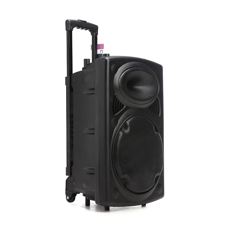 

15 Inch 130w 4 Ohm Multi Media Trolley Party Speaker With Wireless Mocrophone