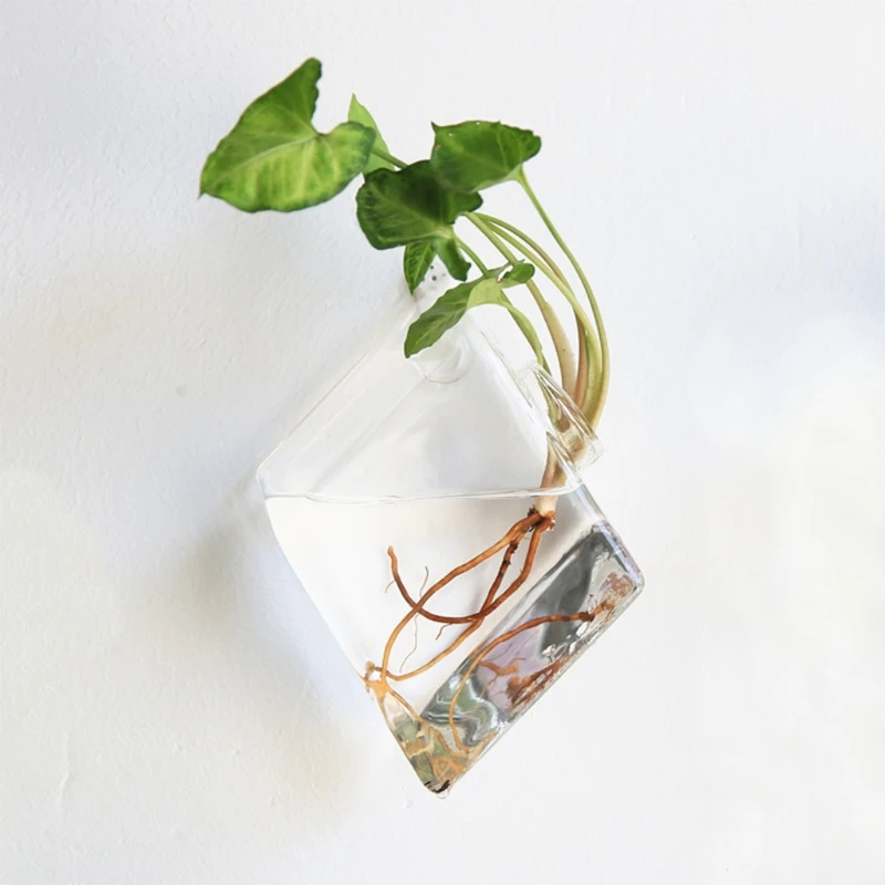 Креативный настенный стеклянный плантатор для гидропонных растений контейнер