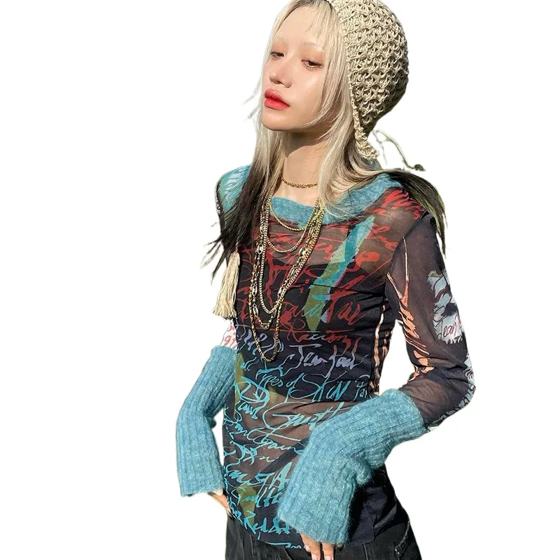 

Summer New 2023 Round Neck Pullover Long Sleeve Mesh Print Casual European And American Women's Top T-shirt