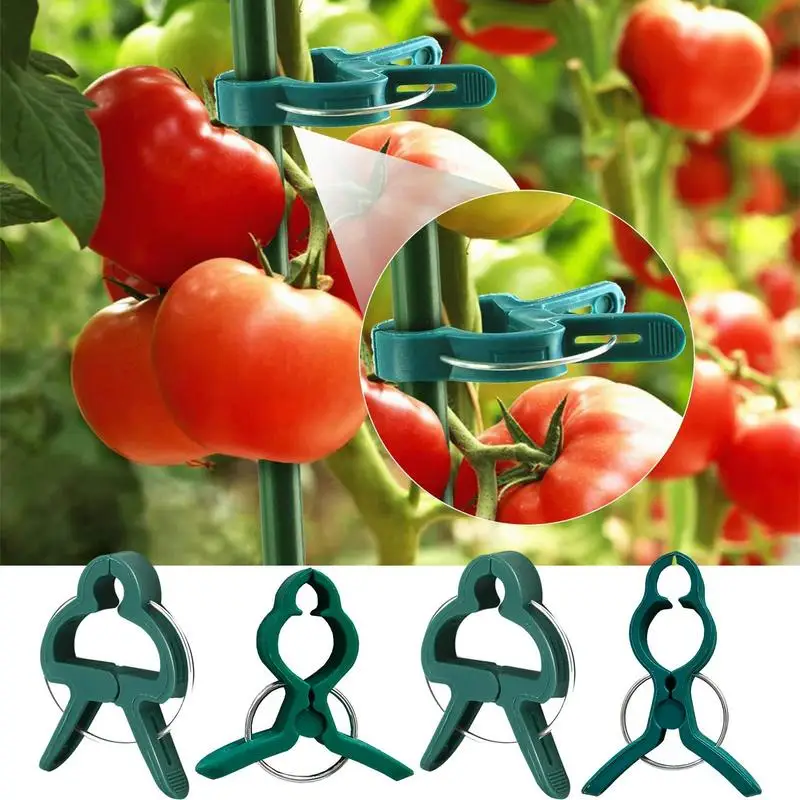 Plant Clips Protection Grafting Fixing Tool Reusable Garden Stem Supporting Clips Multifunction Plant Support Clamping For Vines