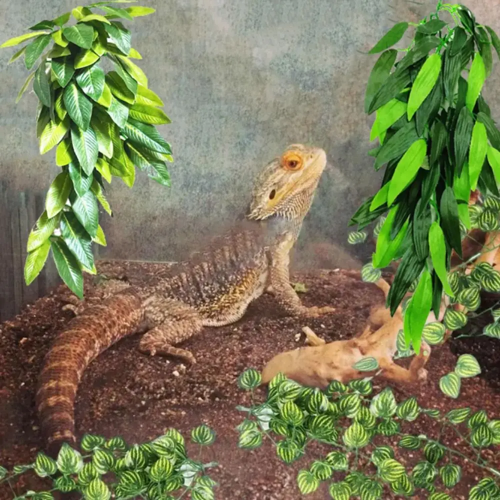 Настенная коробка для рептилий животных