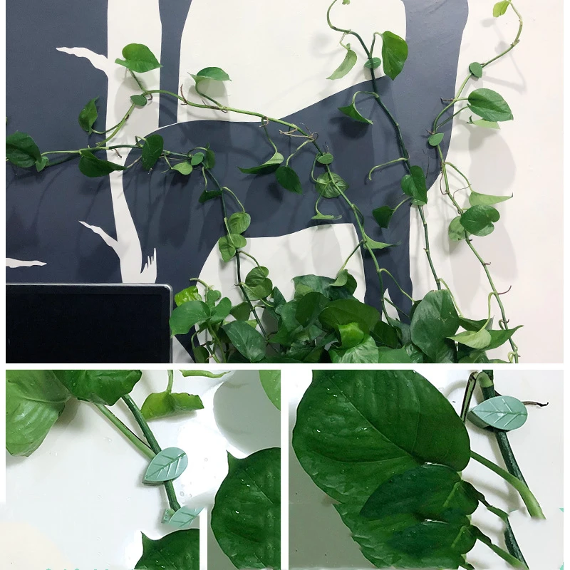 10-100 шт. невидимые крючки для подъема растений |