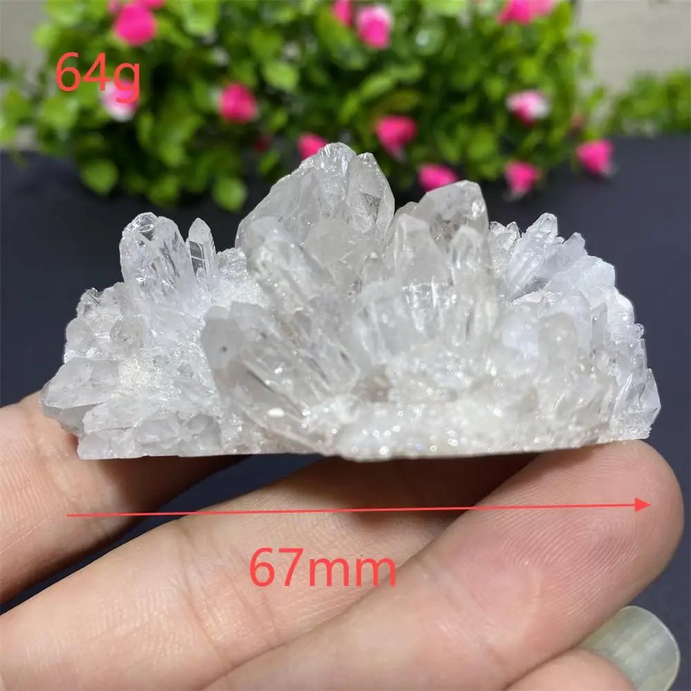 

Кристаллический кластер хризантема