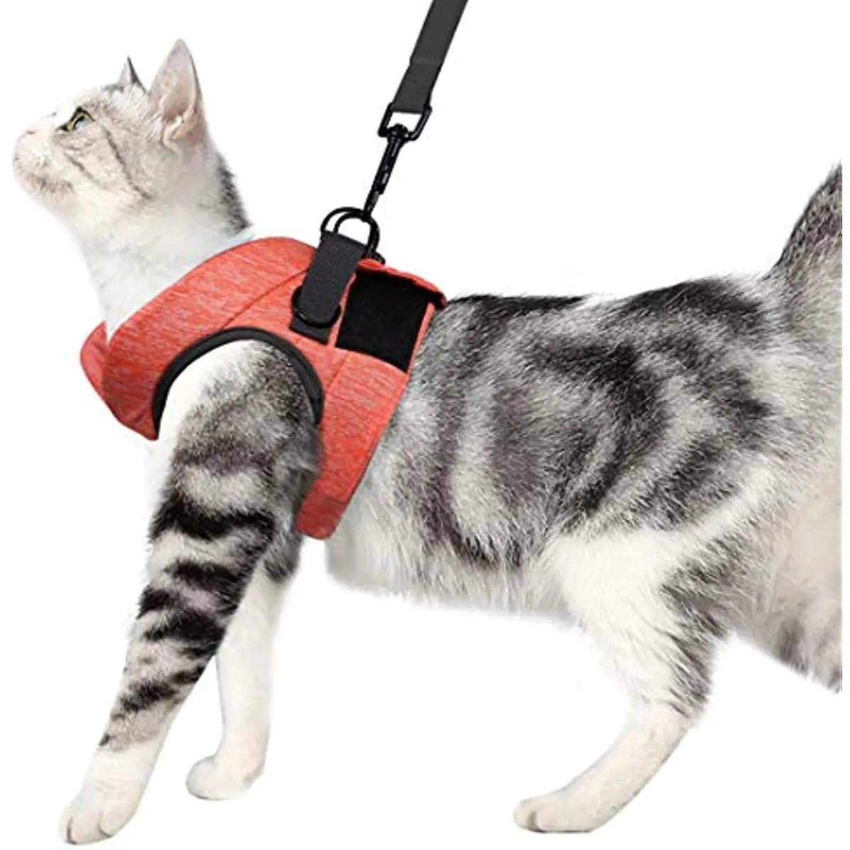 

ATUBAN Cat Harness and Leash, Ultra Light Escape Proof Kitten Collar Cat Walking Jacket, Running Cushioning Soft and Comfortable