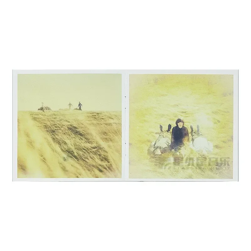 Фото Оригинальный диск для автомобиля с CD-альбомом группы Daughter: If You Leave (Европейская и американская поп-музыка) №3