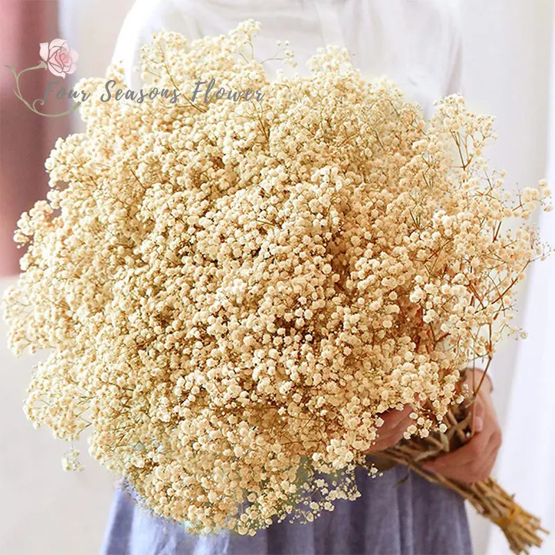 

40g/80g Dried Baby Breath Flowers Bouquets Colorful Natural Dry Flower White Gypsophile For Wedding Decoration Nordic Home Decor