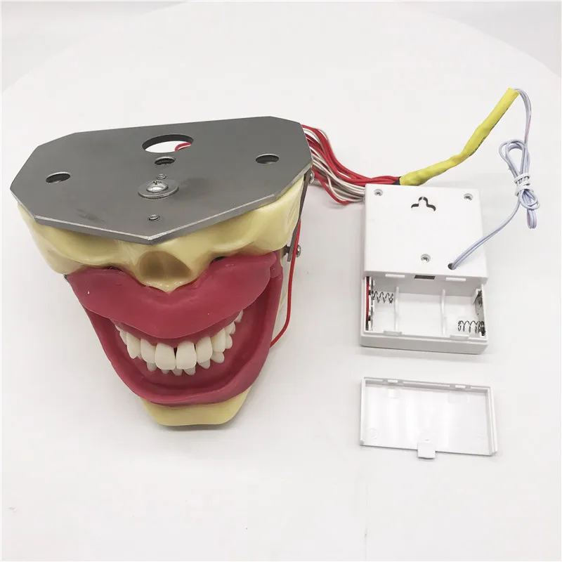 Модель экстракции стоматологической анестезии с зуммером модель для обучения