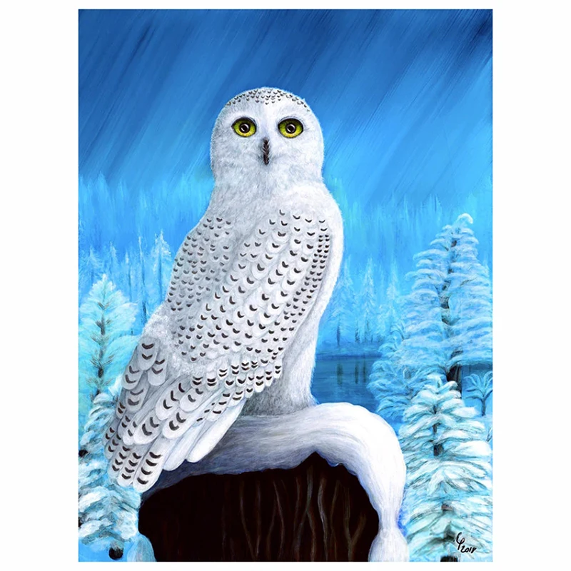 

Бриллиантовая картина, лед и снег, Набор для вышивки совами