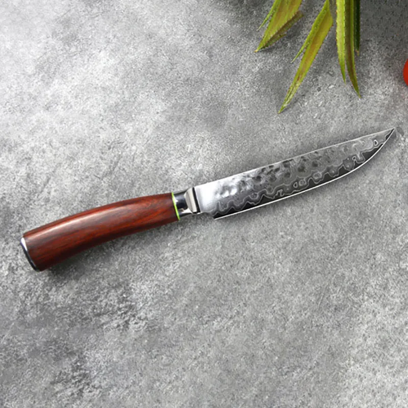 

5 Inch Steak Knife 10Cr15MoV 67 Layers Damascus VG10 Steel Blade Sharp Cleaver Utility BBQ Boning Kitchen Knives Cooking Tools
