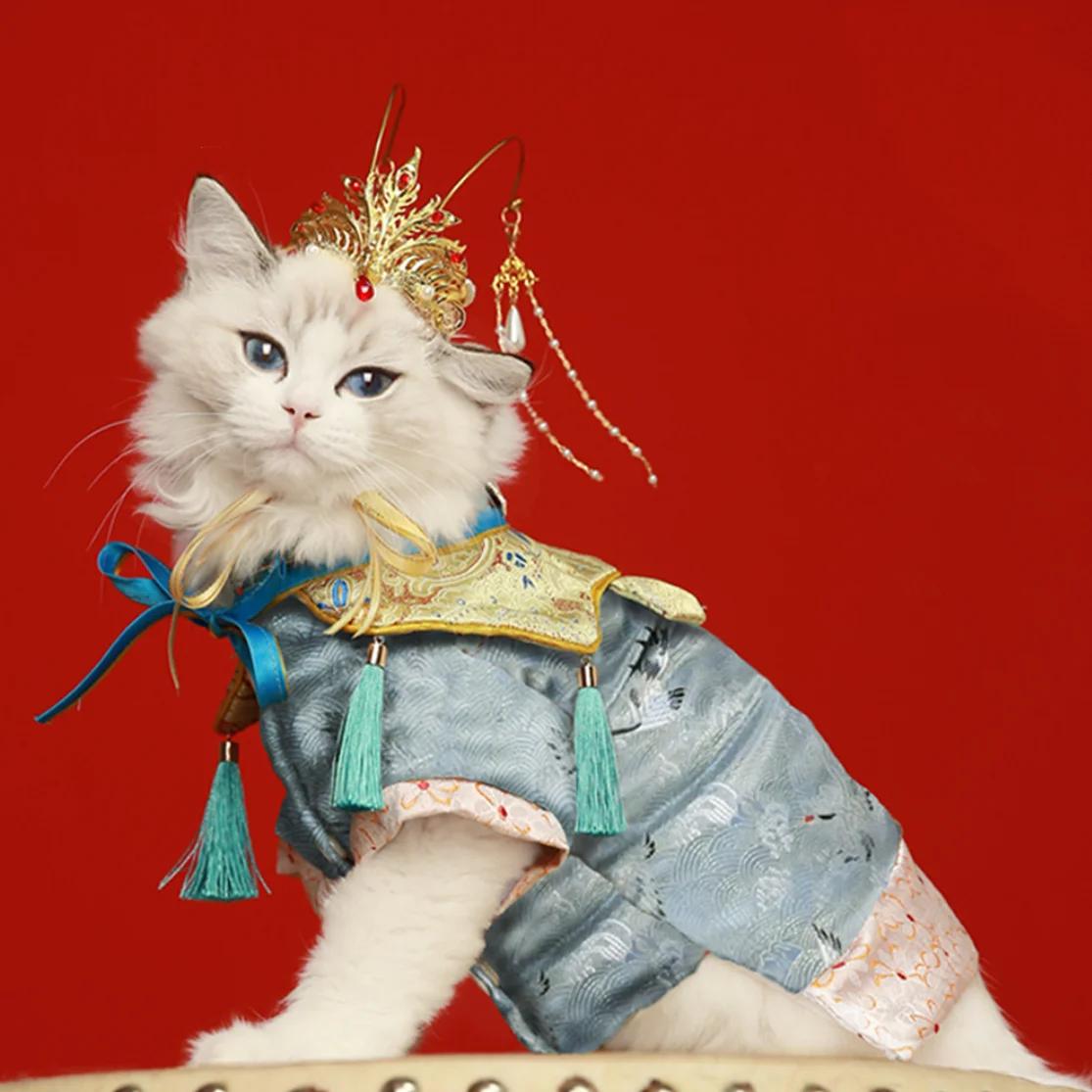 

pet hanfu