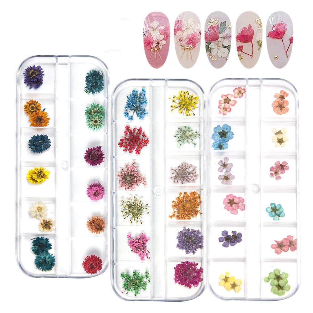 

1 Set 3D Dried Flower Nail Decoration Natural Floral Sticker Mixed Dry Flower DIY Nail Art Decals Jewelry UV Gel Polish Manicure